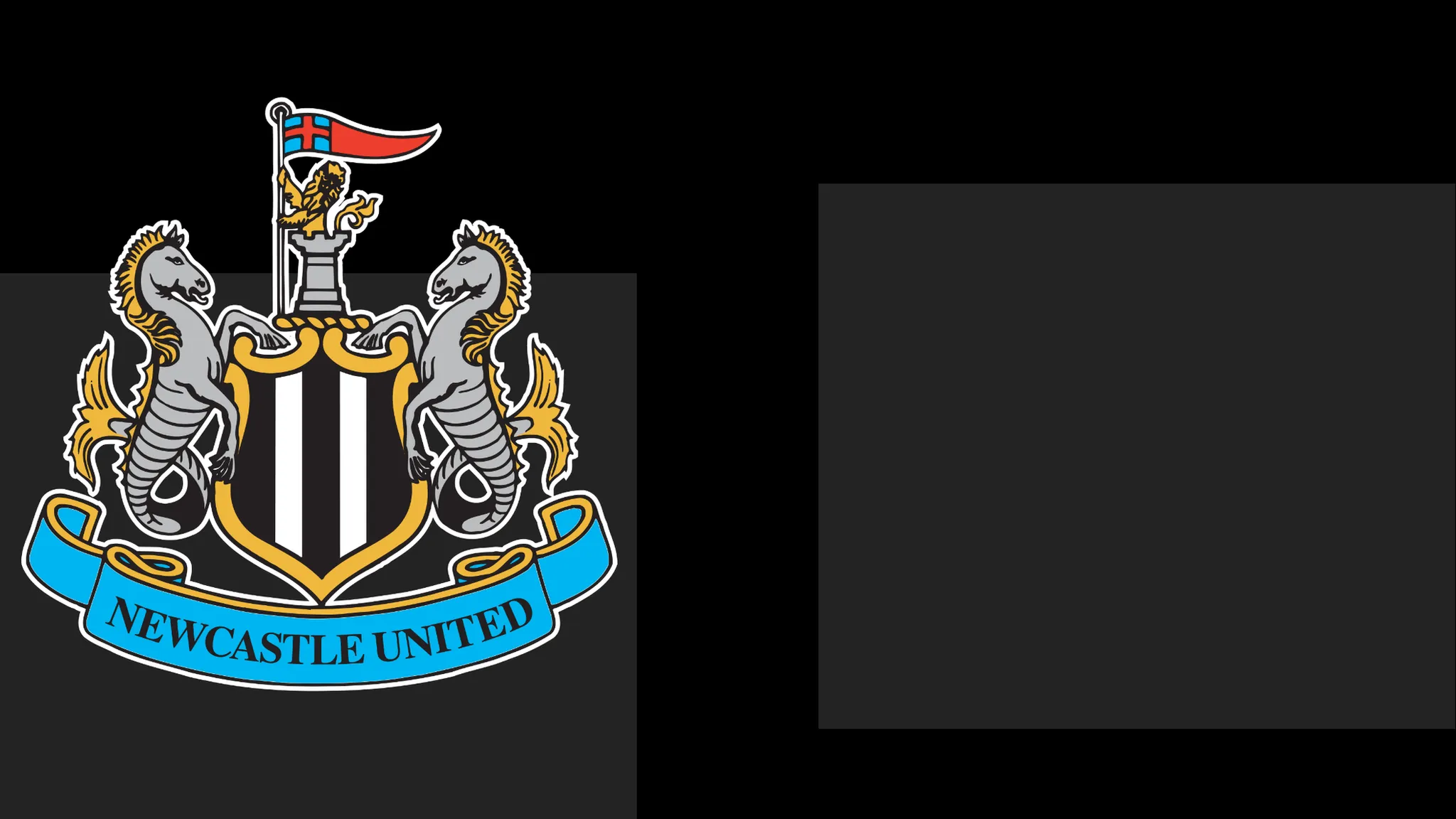 Newcastle Issue Formal Apology to Fans Over Matchday Issue