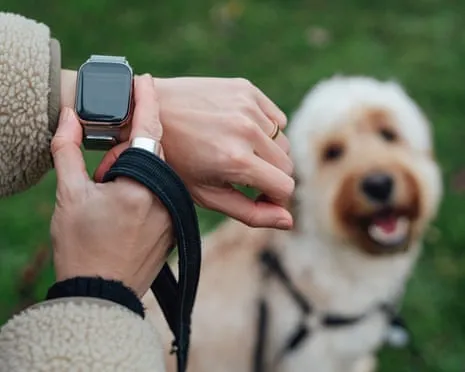 The Reality Concerning Smartwatches? Living Feels Fuller Lacking a Bossy Zealot on Your Wristwear
